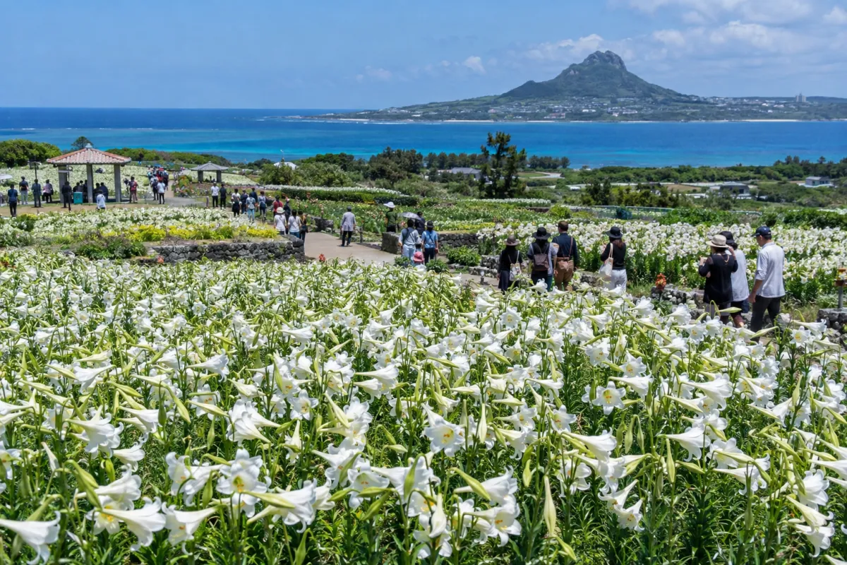 AI生成による伊江島ゆり祭りのイメージ画像