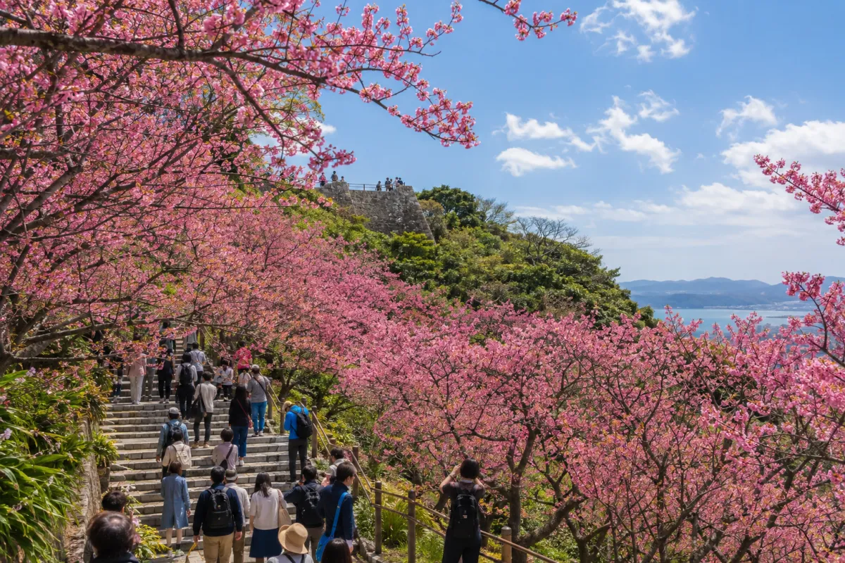 AI生成による名護さくら祭りのイメージ画像