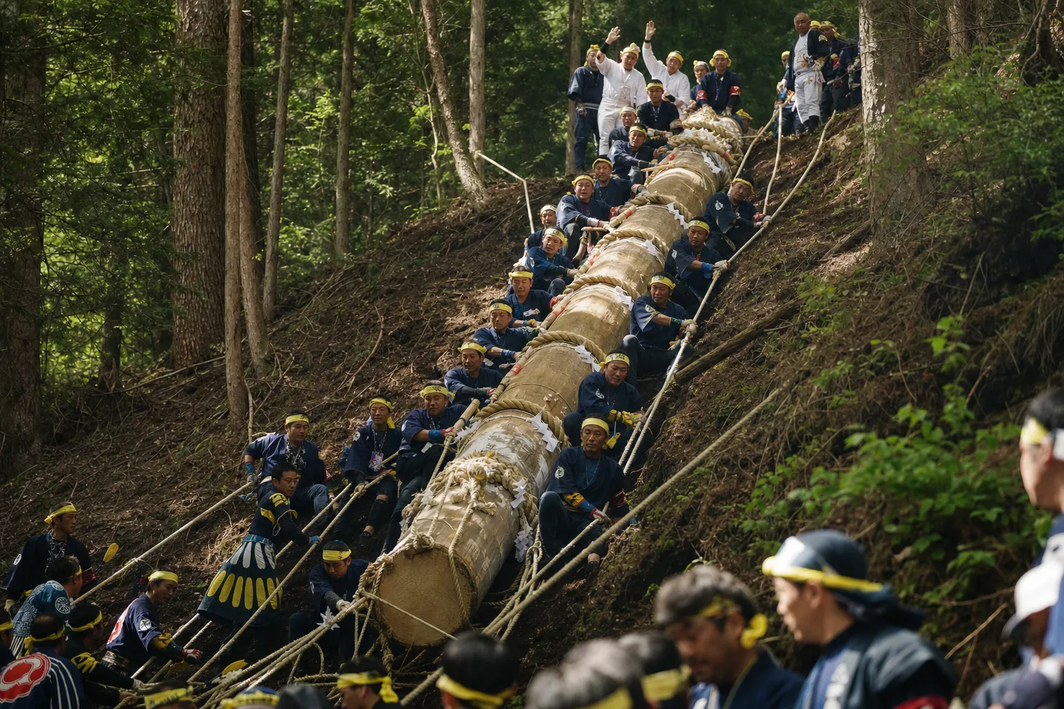諏訪大社御柱祭のイメージ画像